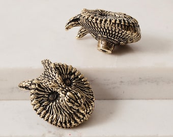 Brass Owl Cabinet Knob Bird Drawer Pull Woodland Furniture Hardware Rustic Nature Home Decor.
