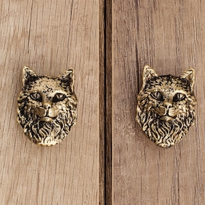 Könnte beinhalten: Zwei goldfarbene Metall-Schrankknöpfe in Form von Katzenköpfen. Die Katzenköpfe haben detailliertes Fell und Schnurrhaare.