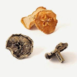 Op de afbeelding: Twee bronzen deurknopjes in de vorm van een appel met een stervormig ontwerp. Eén knop is van bovenaf te zien en de andere van de zijkant. De zijkant laat zien dat de knop aan een metalen paal is bevestigd.