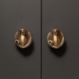 May include: Two gold-toned cabinet knobs shaped like a cobra with its hood raised. The knobs are mounted on a dark grey cabinet door.