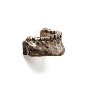 May include: A metallic silver-toned sculpture of a human lower jawbone, featuring detailed teeth and a textured, weathered surface. The object is shaped like a mandible, showing the dental arch and chin area in a realistic, anatomical form.