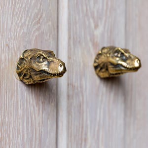 Op de afbeelding: Twee messing kastknoppen in de vorm van een dinosaurushoofd, bevestigd op een lichte houten kastdeur. De knoppen zijn gedetailleerd met geschubde huid en gezichtskenmerken. De kastdeur heeft verticale houtnerf.