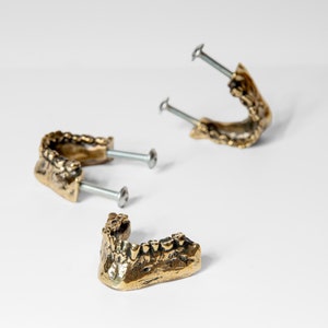 Peut inclure: Trois tirettes de tiroir en forme de dent dorées avec des vis argentées. Les tirettes sont disposées sur une surface blanche.