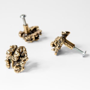 Può includere: Tre pomelli per mobili in forma di noce, color oro. Ogni pomello ha una vite sul retro per il fissaggio a una porta di un mobile.