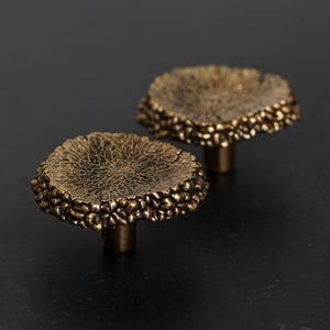 Może przedstawiać: Dwa złote ozdobne gałki do szafek o teksturalnym, organicznym wzorze. Gałki mają okrągłą podstawę i wypukły, teksturalny wierzch.