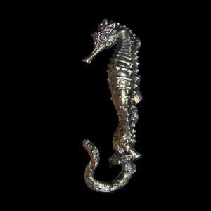 May include: A detailed, metallic seahorse sculpture with a textured surface. The seahorse is depicted in a curved pose, with a long snout and a curled tail. The sculpture is set against a black background.