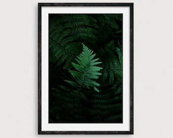 Fern Print, Botanical Wall Art Emerald Green, Dark Green Print, Fern Printable, Fern Botanical Print, Dark Green Leaves Poster, Fern Leaf