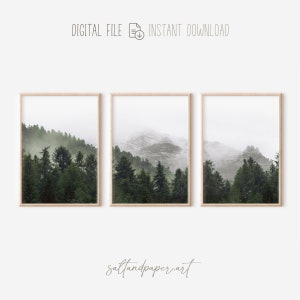 May include: A set of three digital prints featuring a misty forest scene with tall green trees and a mountain range in the background. The prints are framed in a light wood frame.