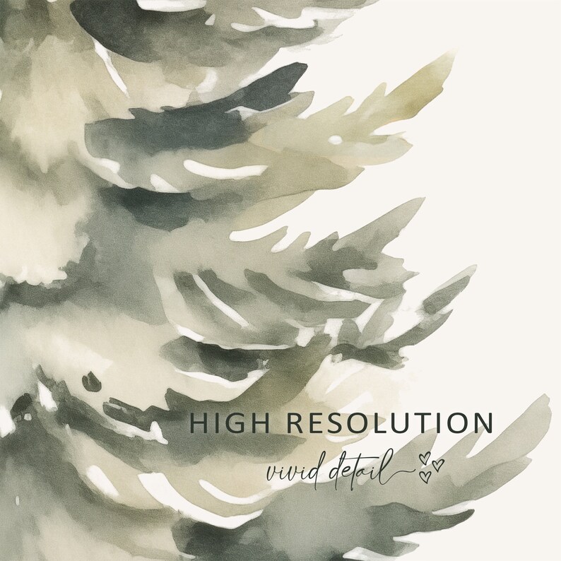 Pode incluir: Pintura em aquarela de um ramo de pinheiro com fundo branco. O texto "HIGH RESOLUTION vivid detail" est&aacute; escrito em cursiva preta na parte inferior da imagem.