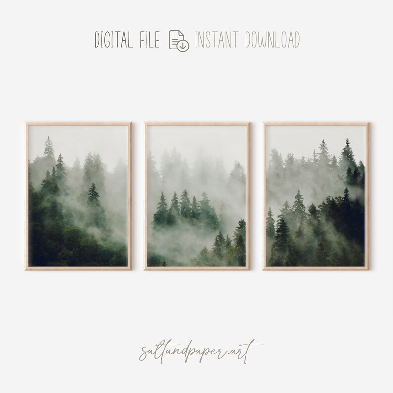 May include: Three digital prints of a misty forest scene with tall evergreen trees. The prints are in a light wood frame and are arranged in a row.