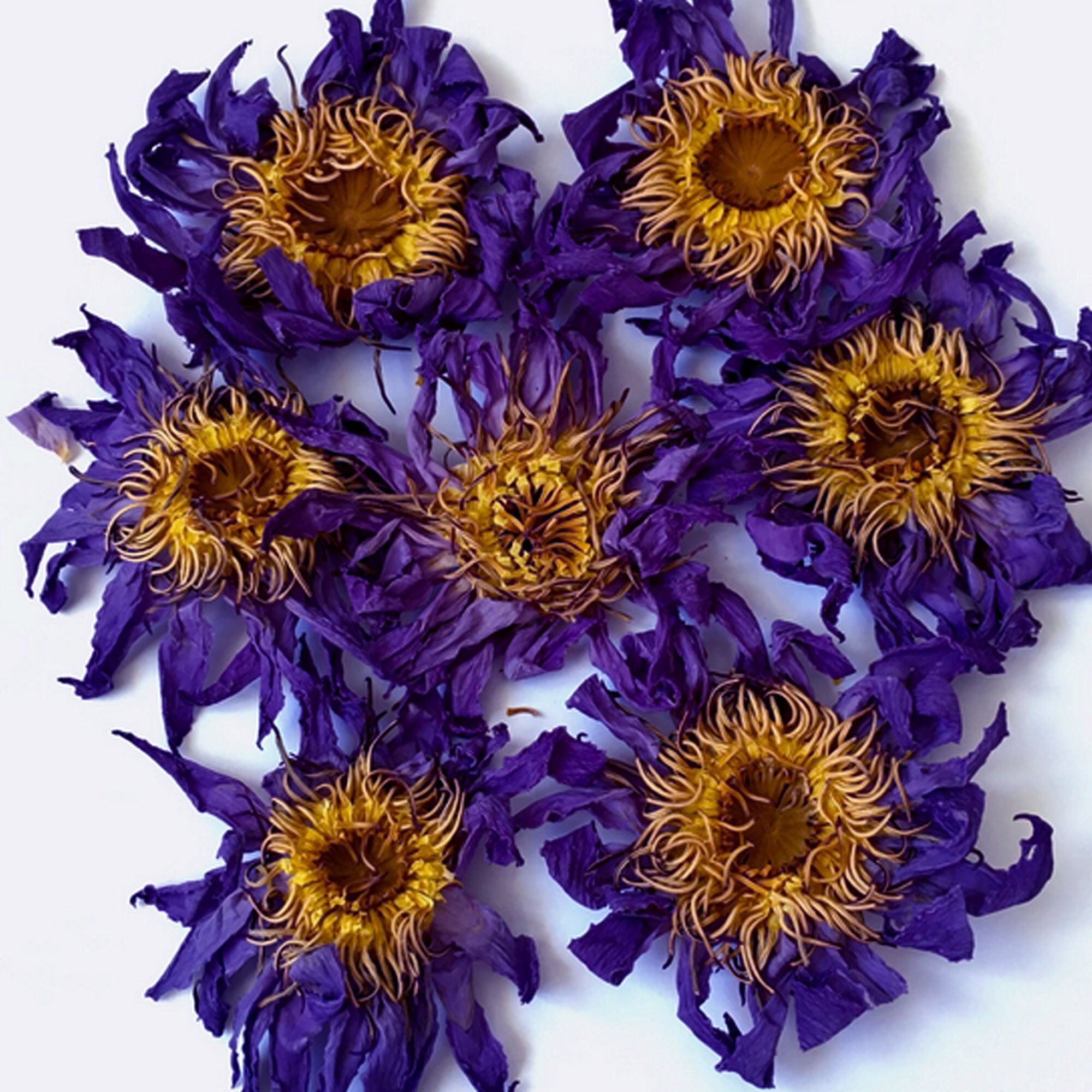 Organic Blue Lotus Flower Herbal Blend Etsy