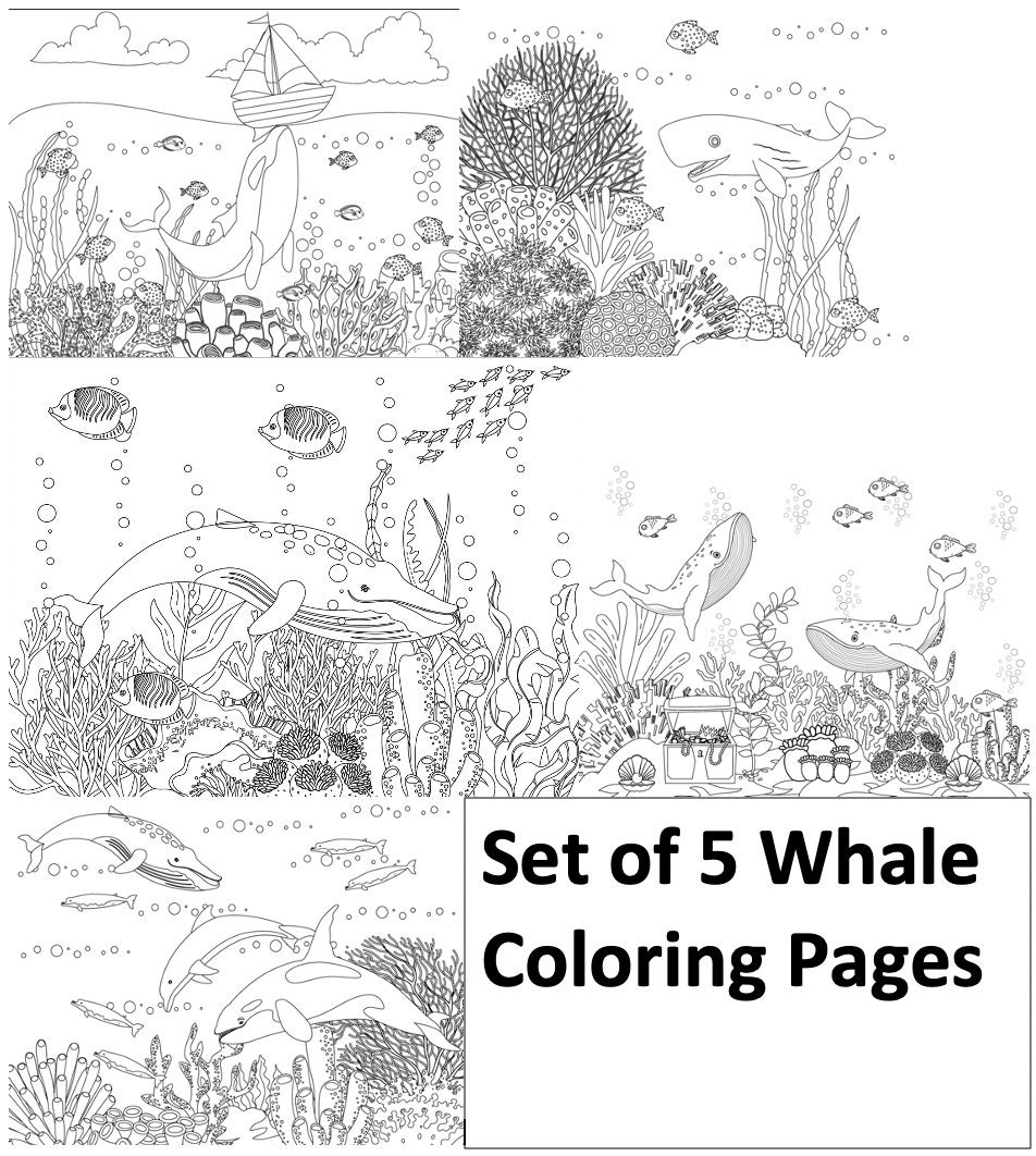 Set of 5 Whale Coloring Pages | Etsy
