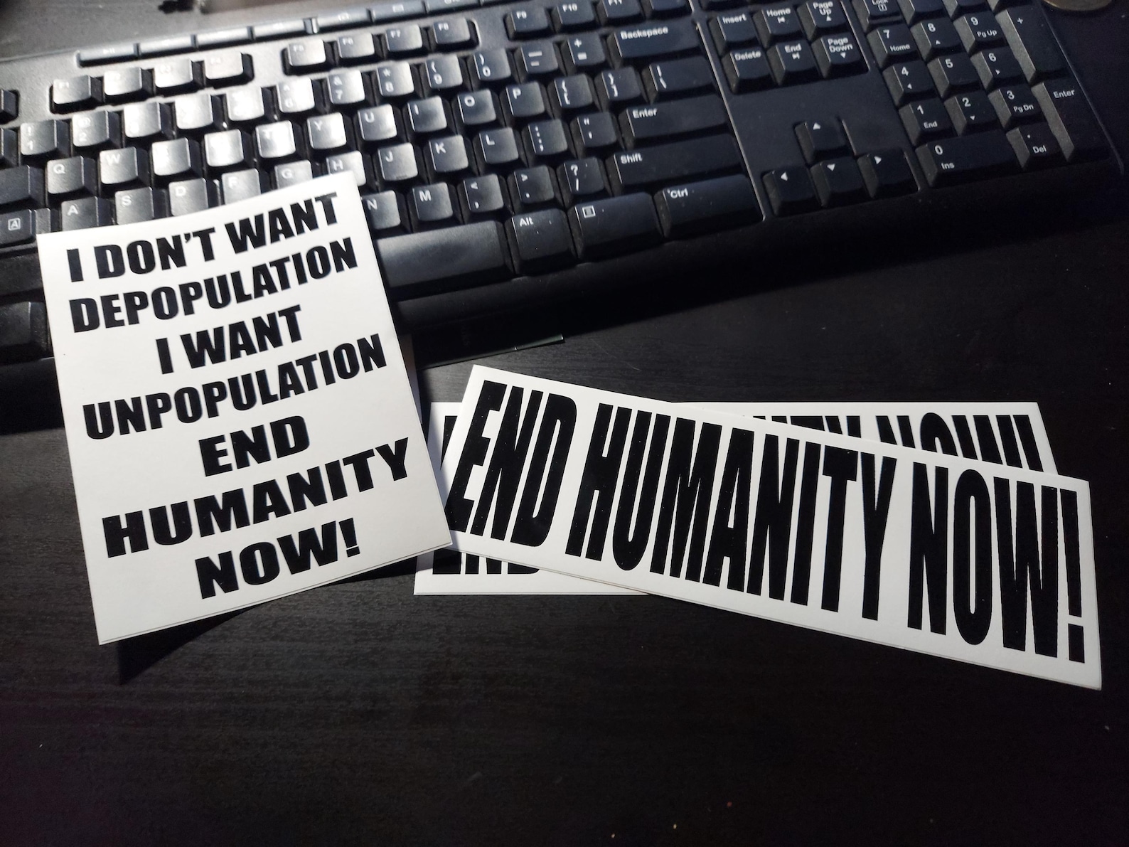 End Humanity Now! Bumper Sticker Pack - Etsy