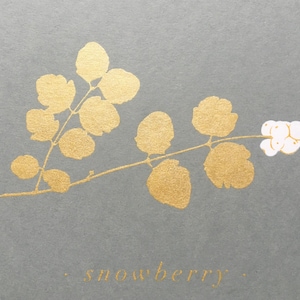 Pacific Northwest Native Snowberry - 2 color print (5.5&quot; x 7&quot;)