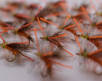 12 Fly Fishing Flies Assortment Stonefly Life Cycle Hand Tied Nymph Dry Fly Box Perfect For FlyFishing Colorado, Montana, Utah, California