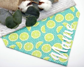 Personalized Dog Bandana, Dog Scarf, Over the collar