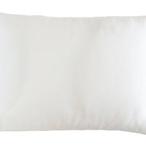 May include: A white pillow with a smooth, soft surface. The pillow is rectangular and has a slightly rounded edge.