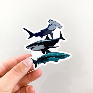 shark sticker; waterproof vinyl sticker