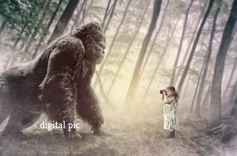 Digital Art Photo Ape Picture Photography Ape with Small Girl