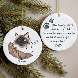 May include: Two round white marble-textured ceramic ornaments with gold hanging strings. One features a brown and white cat illustration with the name Theo and two hearts. The other displays two paw prints, the name Theo, and a memorial poem.