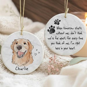 Custom Dog Memorial Ornament, Loss of Dog Ornament, Dog/Cat Passing Away Gift, Pet Memorial Gift