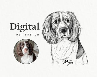 Custom Digital Pet Portrait, Line Art Drawing for Dogs/Cats, Dog Sketch From Photo, Pet Loss Gift, Dog Memorial Gift, Digital Download Files