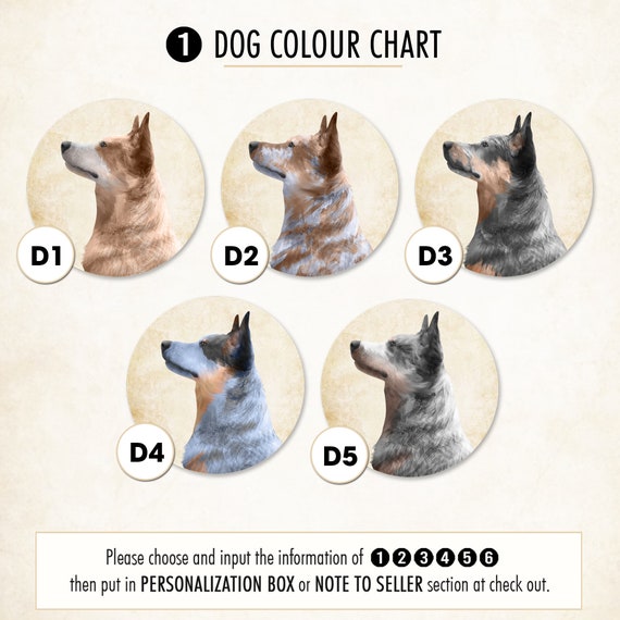 Dog Colors Types Of Heelers 3+ Thousand Blue Heeler Puppy Royalty