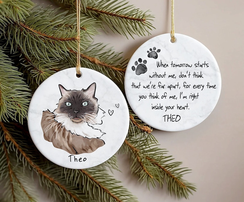 May include: Two round white marble-textured ceramic ornaments with gold hanging strings. One features a brown and white cat illustration with the name Theo and two hearts. The other displays two paw prints, the name Theo, and a memorial poem.