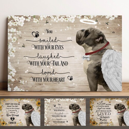 How To Fly With English Bulldog