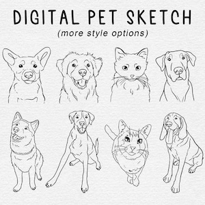 Custom Line Drawing From Photo, Custom Pet Outline Drawing, Pet Line Art, Simple Dog Sketch, Pet Sketch, Custom Art, DIGITAL FILE ONLY
