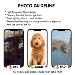 May include: Image illustrating photo guidelines for pet photography. The text reads: High-Resolution Photo Quality, Close-up from the front at eye level, Good lighting with no harsh shadow, and Better when shooting in a background that is separate from the color of the fur.