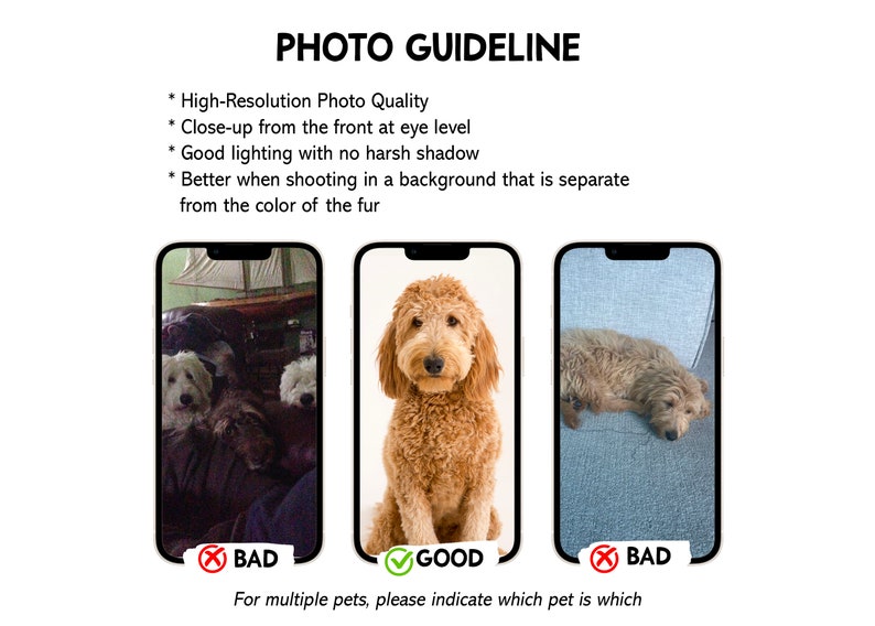 May include: Image illustrating photo guidelines for pet photography. The text reads: High-Resolution Photo Quality, Close-up from the front at eye level, Good lighting with no harsh shadow, and Better when shooting in a background that is separate from the color of the fur.