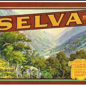 Etichetta di cassa vintage originale anni &#39;30