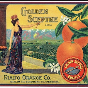 Etichetta originale della cassa d&#39;epoca anni &#39;30