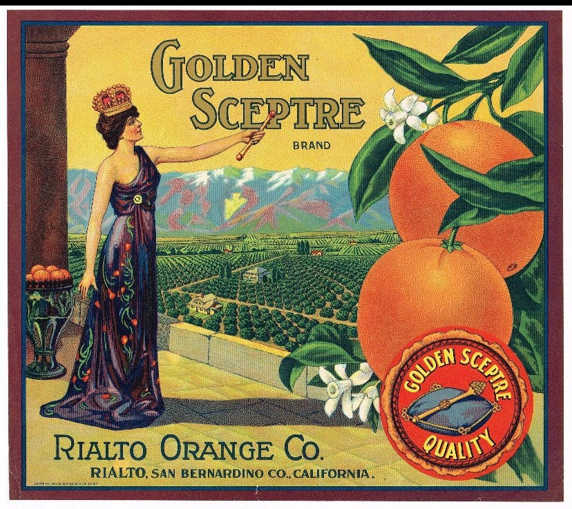 【セット商品】Orange&Parkアート（額あり）&カリフォルニアサインアート Amazon.co.jp: Buyartforless場合HG ap596 31 x 19 1.25ブラック