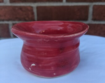 Maceta de rosas florecientes