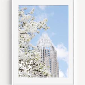 Charlotte NC Skyline Print, Charlotte North Carolina Cherry Blossoms, Travel Photography, Cityscape Wall Art for Office or Living Room