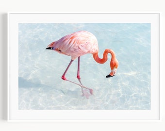 Pink Flamingo Print, Aruba Travel Photography, Flamingo Gift, Tropical Bird Wall Art, Flamingo Wall Decor for Beach House or Baby Nursery