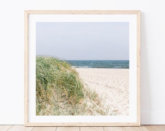 Sand Dunes Print, Square Beach Photography, Cape Cod New England Coastal Wall Decor, Seagrass Print, Neutral Wall Art for Beach House