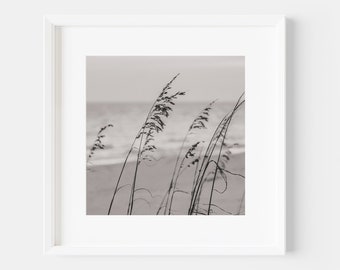 Black and White Sea Oats Print, Beach Travel Photography, Square Neutral Beach Print, Coastal Decor, Seagrass Wall Art for Beach House