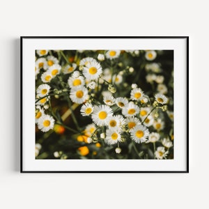 White Daisies Print, Daisy Wall Art, Floral Nursery Decor, Wildflower Botanical Art, Nature Photography, Large Wall Art, Floral Gift for Her
