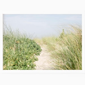 Cape Cod Print, Beach Dunes Photography, Coastal New England Wall Decor, Large Wall Art for Living Room, Beach House, Guestroom or Airbnb