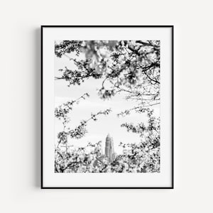 Charlotte Skyline Print, Black and White Charlotte North Carolina Photography, Cityscape Wall Art for Office, Entryway or Living Room