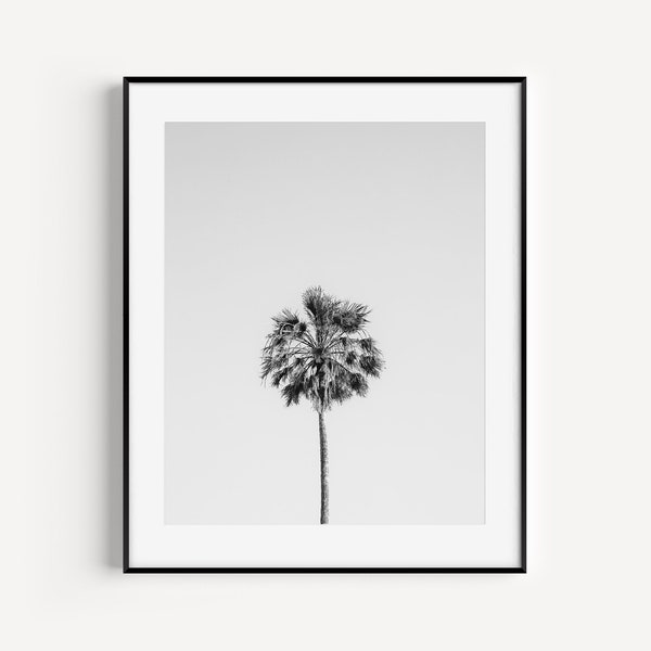 Palm Tree Beach Print, Tropical Wall Decor, Beach House Decor, Black and White Beach Travel Photography, Coastal Wall Art for Living Room