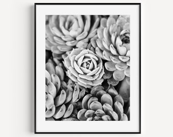 Succulent Poster, South Western Wall Decor, Black and White Cactus Photography, Botanical Print, Succulent Gift, Boho Wall Decor, Minimalist