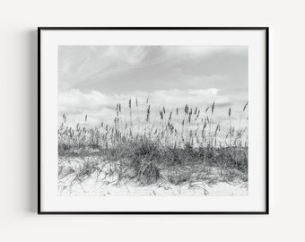 Black and White Sea Oats Beach Dunes Print, Coastal Wall Art, Beach House Decor, Minimal Beach Photography for Living Room, Beach Gift