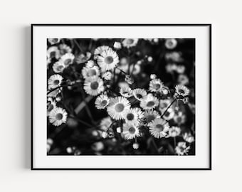 Black and White Flower Print, Daisy Wall Art, Floral Nursery Decor, Botanical Art, Nature Photography, Boho Farmhouse Print, Flower Poster