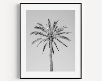 Black and White Palm Tree Print, Surf Poster, Tropical Wall Decor, Beach House Decor, Travel Photography, Coastal Wall Art for Living Room