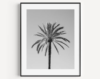 Black and White Beach Print, Palm Tree Tropical Wall Decor, Beach House Decor, Travel Photography, Boho Coastal Wall Art for Living Room