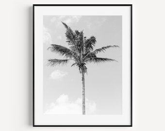 Black and White Palm Tree Print, Neutral Beach Print, Palm Tree Wall Decor, Beach Decor, Surf Print, Tropical Wall Art, Coastal Photography